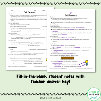 Cell Membrane and Transport PowerPoint and Guided Notes Biology Keystone Aligned