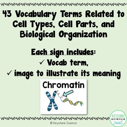 Cell Types, Parts, Levels of Organization Word Wall Vocabulary ESL ELL