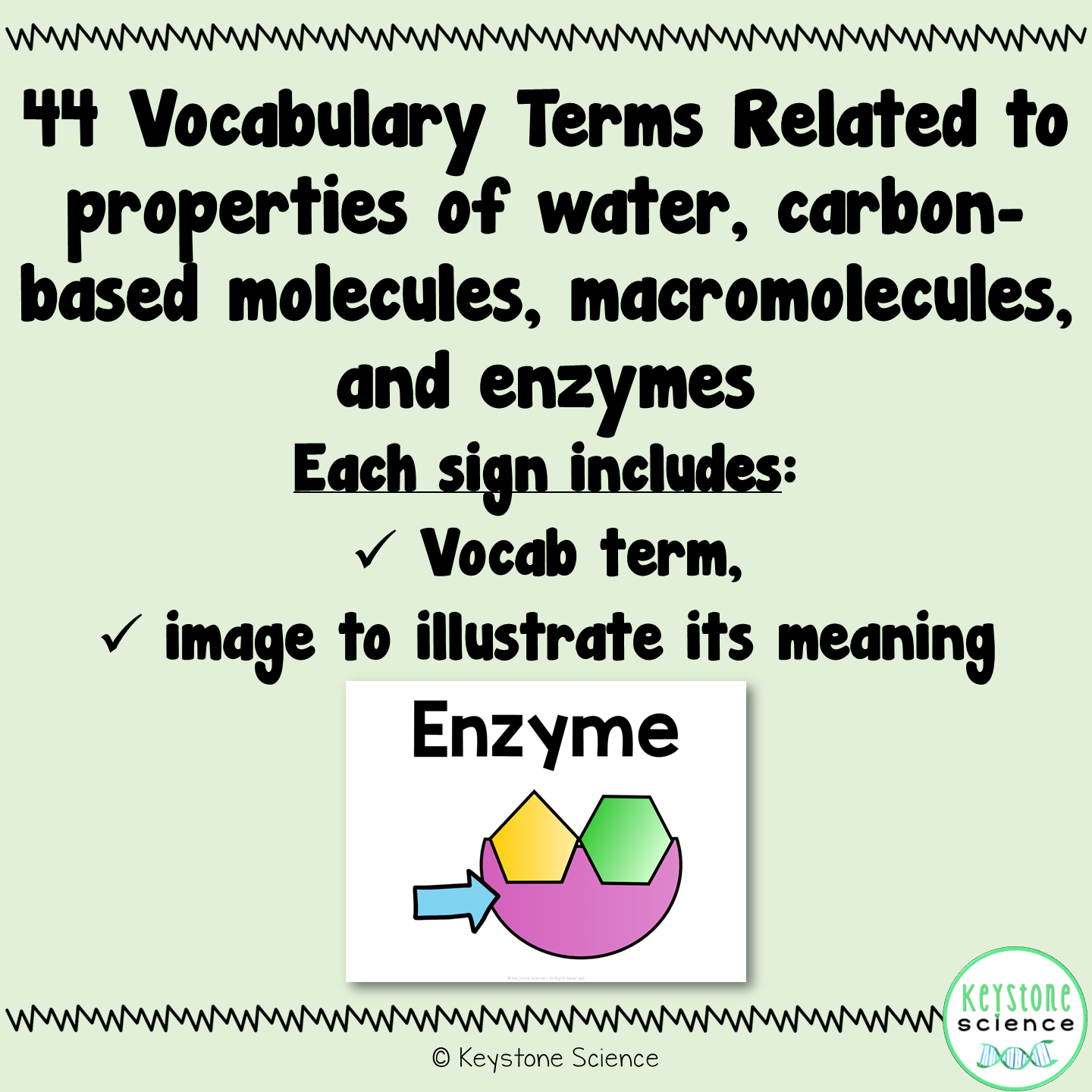 Biochemistry, Water, Macromolecules Word Wall and Vocabulary ELL ESL