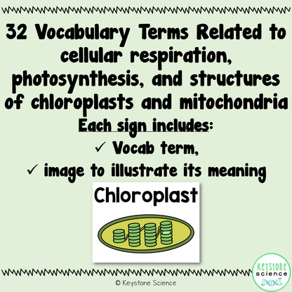 Cellular Respiration and Photosynthesis Biology Word Wall and Vocabulary ELL ESL