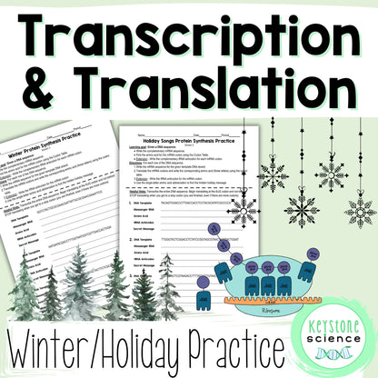 Transcription Translation Practice Worksheet Winter Holiday Protein Synthesis