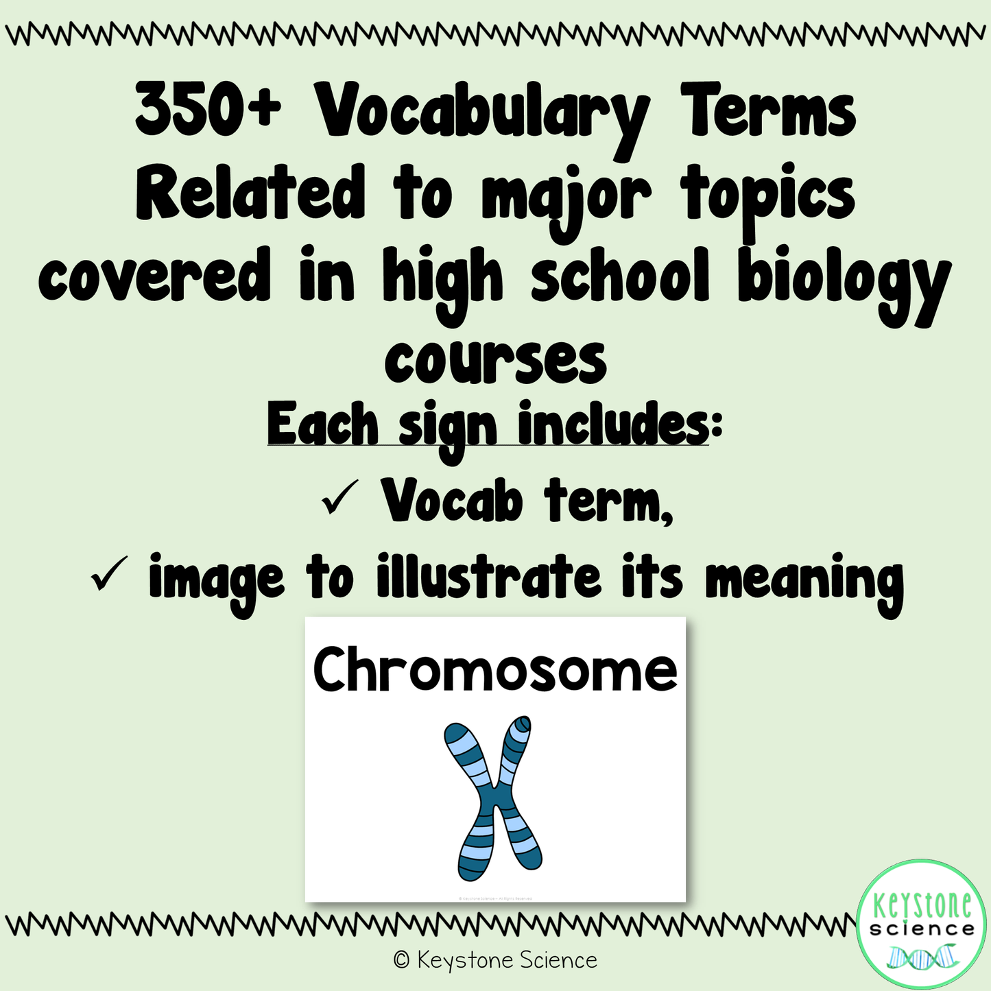 Biology Word Wall BUNDLE Prefixes, Suffixes Cells, Genetics, Evolution, Ecology