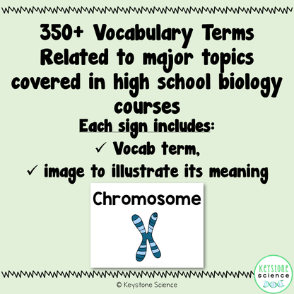 Biology Word Wall BUNDLE Prefixes, Suffixes Cells, Genetics, Evolution, Ecology