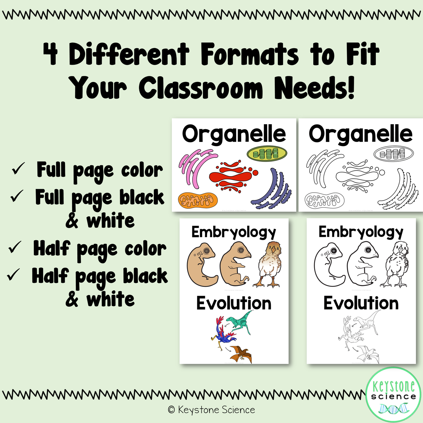 Biology Word Wall BUNDLE Prefixes, Suffixes Cells, Genetics, Evolution, Ecology