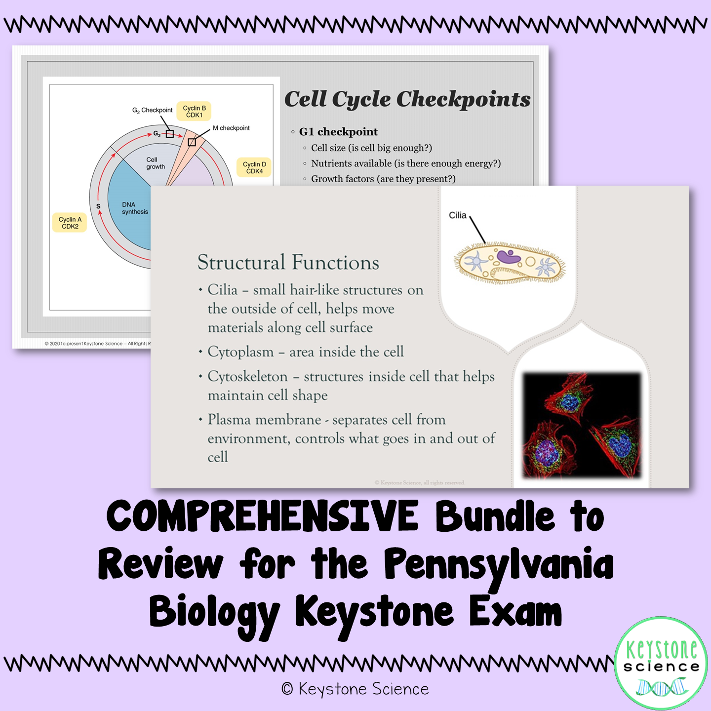 Full Year Biology PowerPoints, Guided Notes, Packet Comprehensive BUNDLE Keystone Aligned