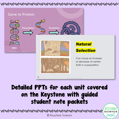 Full Year Biology PowerPoints, Guided Notes, Packet Comprehensive BUNDLE Keystone Aligned