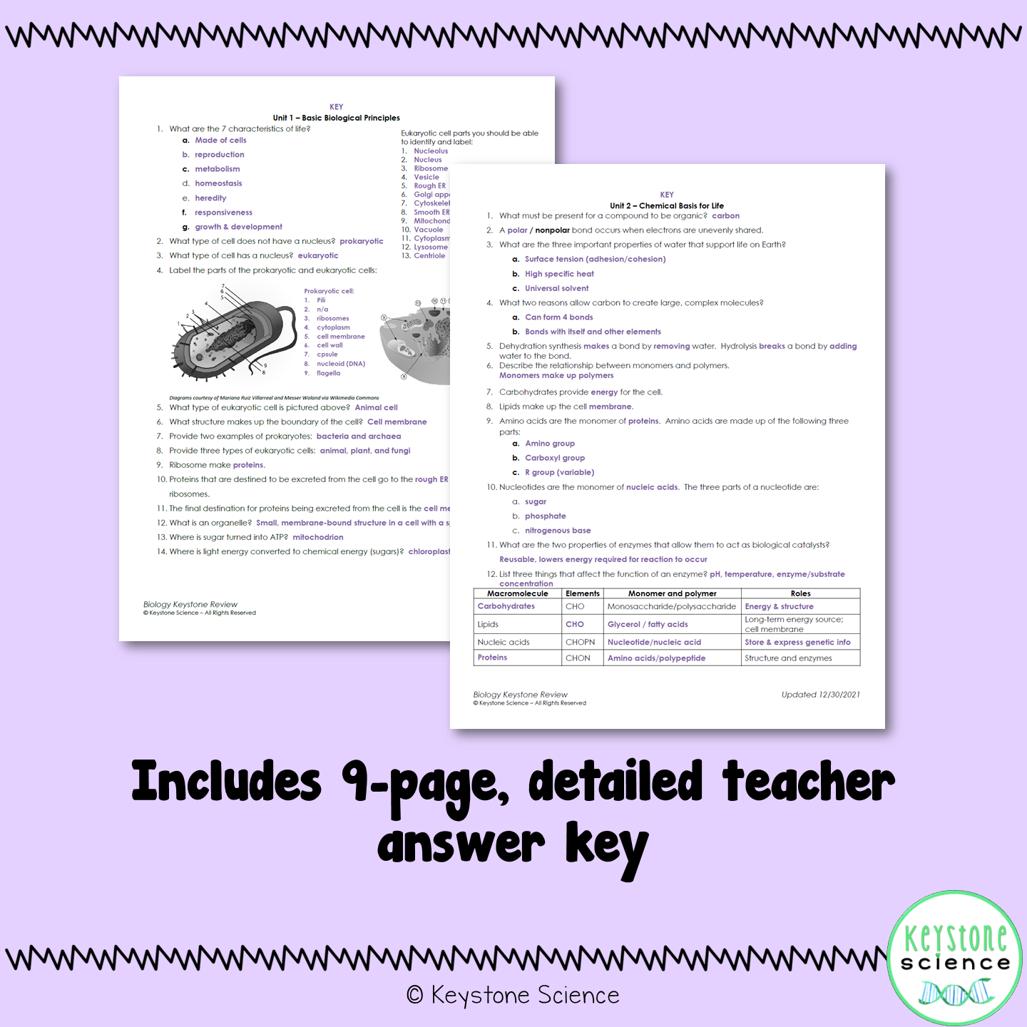 Biology Keystone Content Review Packet with Answer Key