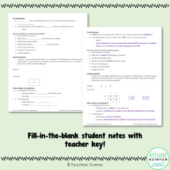 Punnett Squares Mendelian Genetics PowerPoint Slides with Guided Notes and key