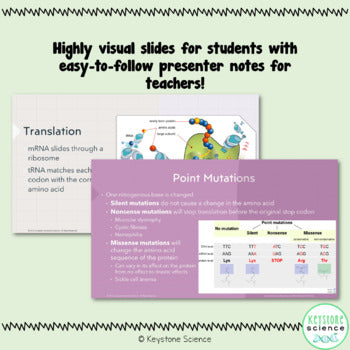 Protein Synthesis PowerPoint, Guided Notes with KEY