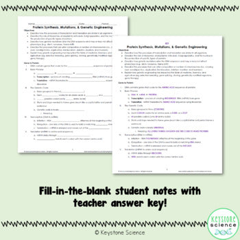 Protein Synthesis PowerPoint, Guided Notes with KEY