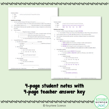 Protein Synthesis PowerPoint, Guided Notes with KEY