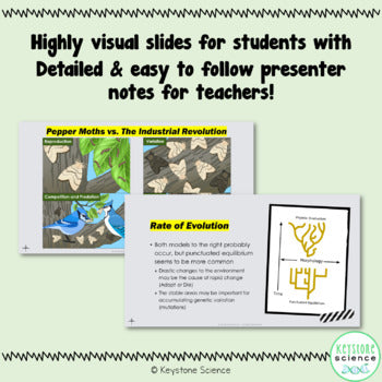 Evolution PowerPoint and Notes Biology Keystone Aligned