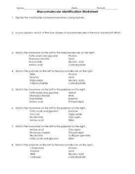 Organic Macromolecule Identification Matching Worksheet with KEY