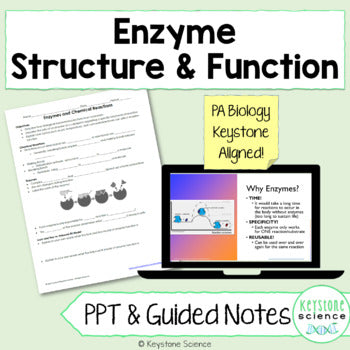 Enzymes PowerPoint and Guided Notes with KEY Biology Keystone Aligned