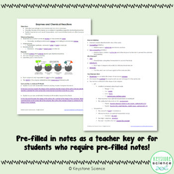 Enzymes PowerPoint and Guided Notes with KEY Biology Keystone Aligned