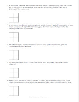 FREE Simple Punnett Square Practice Problems Biology Genetics