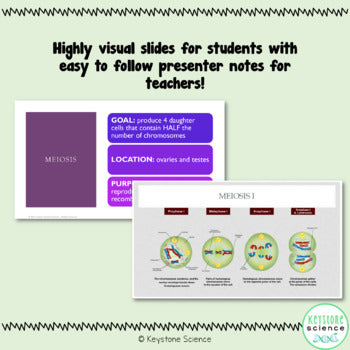 Meiosis and Sexual Reproduction PPT & Guided Notes Biology Keystone Aligned