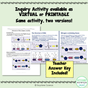 DNA Structure Activity Print and Digital (PPT & Slides)