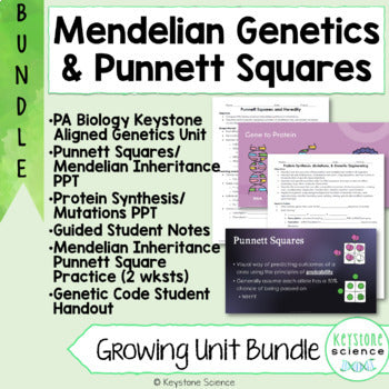 Genetics Unit Punnett Squares Protein Synthesis Keystone Aligned Growing Bundle