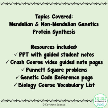 Genetics Unit Punnett Squares Protein Synthesis Keystone Aligned Growing Bundle