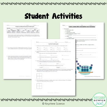 Genetics Unit Punnett Squares Protein Synthesis Keystone Aligned Growing Bundle